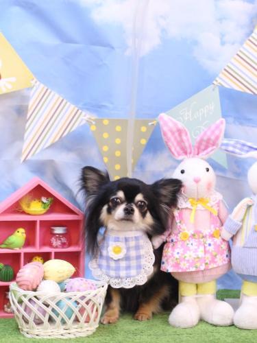 20240323アリューくん